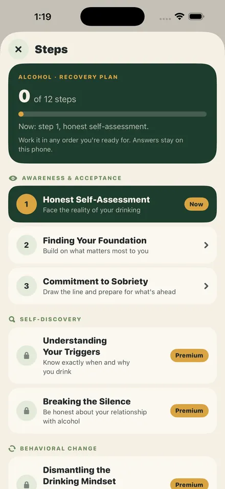 ThriveRecovery Steps: a twelve-step plan, one step at a time